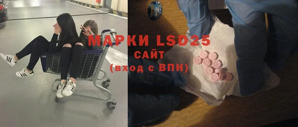 ГАЛЛЮЦИНОГЕННЫЕ ГРИБЫ Покровск