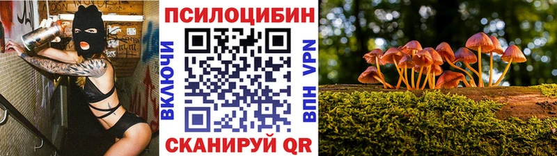 продажа наркотиков  hydra ссылка  Псилоцибиновые грибы ЛСД  Александровск-Сахалинский 